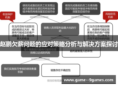 赵鹏欠薪问题的应对策略分析与解决方案探讨