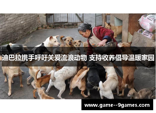 迪巴拉携手呼吁关爱流浪动物 支持收养倡导温暖家园 迪巴拉携手呼吁关爱流浪动物 支持收养倡导温暖家园