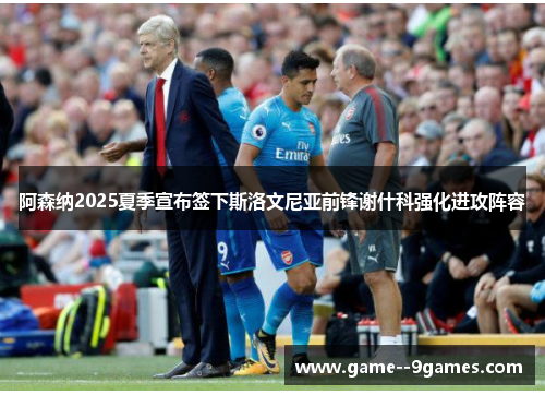 阿森纳2025夏季宣布签下斯洛文尼亚前锋谢什科强化进攻阵容